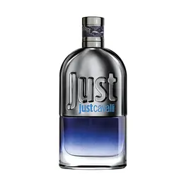 Туалетная вода для мужчин Just Cavalli Roberto Cavalli, 90 ml 1602010 | 90ml
