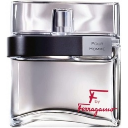 Туалетная вода Salvatore Ferragamo F by Ferragamo Pour Homme 8032529115653