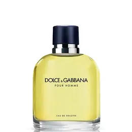 Туалетная вода Pour Homme Vapo 75 мл Dolce & Gabbana 14568063 | 75ml