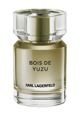 Туалетная вода 50ml Karl Lagerfeld 3386460101844 | 50ml