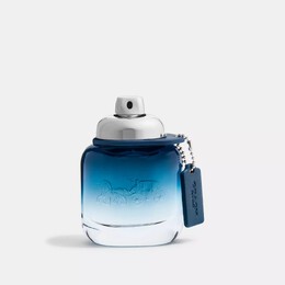 Туалетная вода Coach Blue 40 мл 3386460113755