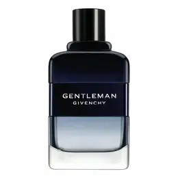 Мужская туалетная вода Givenchy Gentleman Intense, 100 мл . 103713156965