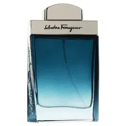 Туалетная вода Salvatore Ferragamo Subtil Pour Homme 3858