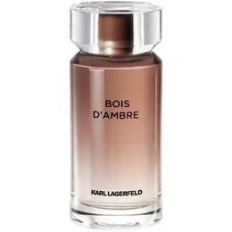 Мужская туалетная вода Karl Lagerfeld Bois D'Ambre, 100 мл 390482
