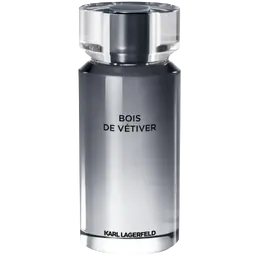 Мужская туалетная вода Karl Lagerfeld Bois De Vetiver, 100 мл 302091
