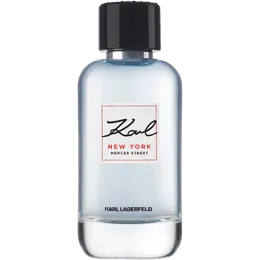Мужская туалетная вода Karl Lagerfeld New York, 100 мл 372607