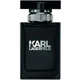 Мужская туалетная вода Karl Lagerfeld Men, 50 мл 295515