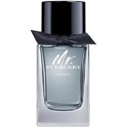 Туалетная вода Burberry Mr. Burberry Indigo 5045551783649