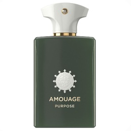 Парфюмерная вода Amouage Purpose Unisex 0701666410478
