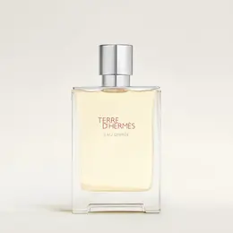 Hermes парфюмерная вода Terre D Hermes Eau Givree, 100 мл, 471 г 103695829219