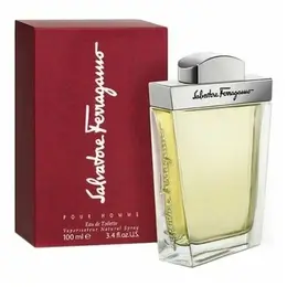 Salvatore Ferragamo pour Homme Туалетная вода для мужчин 100 ml 103828602910