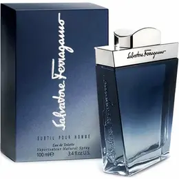 Salvatore Ferragamo Subtil Pour Homme Туалетная вода для мужчин 50 ml 4337676881