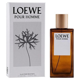 Loewe Туалетная вода pour Homme 100 mpl447163