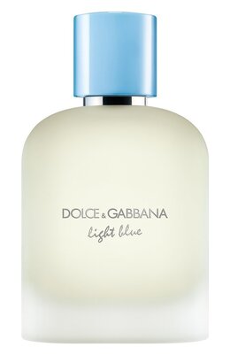Туалетная вода Light Blue Pour Homme (100ml) Dolce & Gabbana 8057971188116