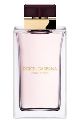 Парфюмерная вода Pour Femme (100ml) Dolce & Gabbana 8057971180400