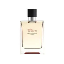 Hermes Mens Terre D'Hermes Intense EDP Spray 3.38 oz (Tester) Fragrances 3346130424123