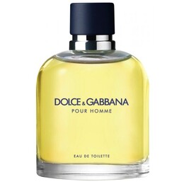 Мужская туалетная вода Dolce & Gabbana Pour Homme Dolce & Gabbana, 125 53607 | 125