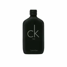 Calvin Klein BE туалетная вода 100 мл / кельвин кляйн би духи 4382081612