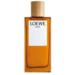 Loewe Solo men туалетная вода 100мл 103674994535