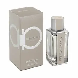 Мужская туалетная вода Salvatore Ferragamo Ferragamo Bright Leather 100 мл 4493945667
