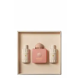 Amouage Guidance SET edp 100ml + 60ml B/SH gel + 60ml B/L Набор для женщин 4543473407